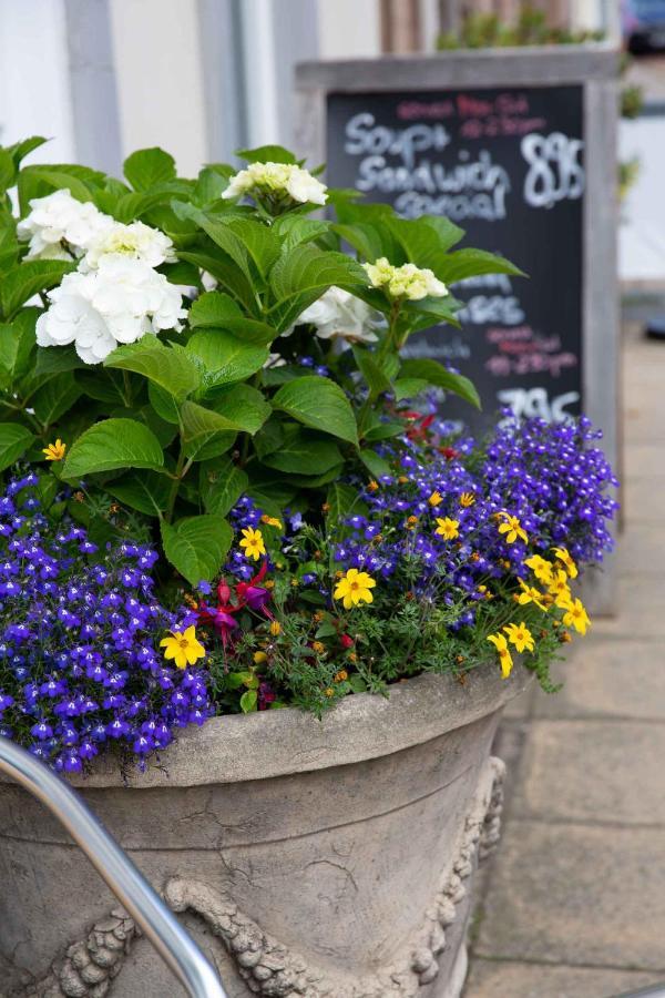 Queens Head Hotel Berwick-upon-Tweed Exterior foto